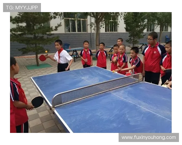 南京乒乓球队的节奏与激情探索乒乓球运动的魅力与发展